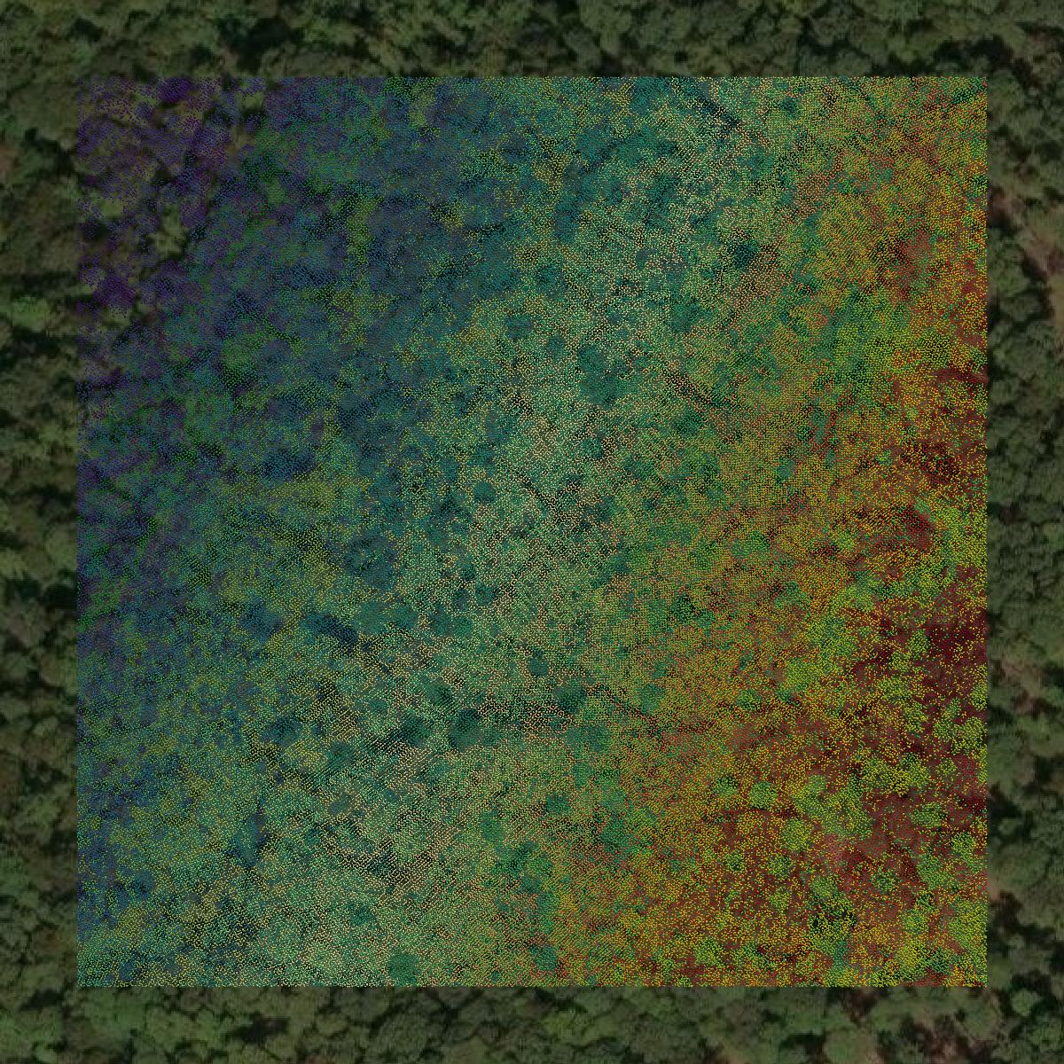 This image shows a LiDAR point cloud in Upshur County created using GIS data in Equator.