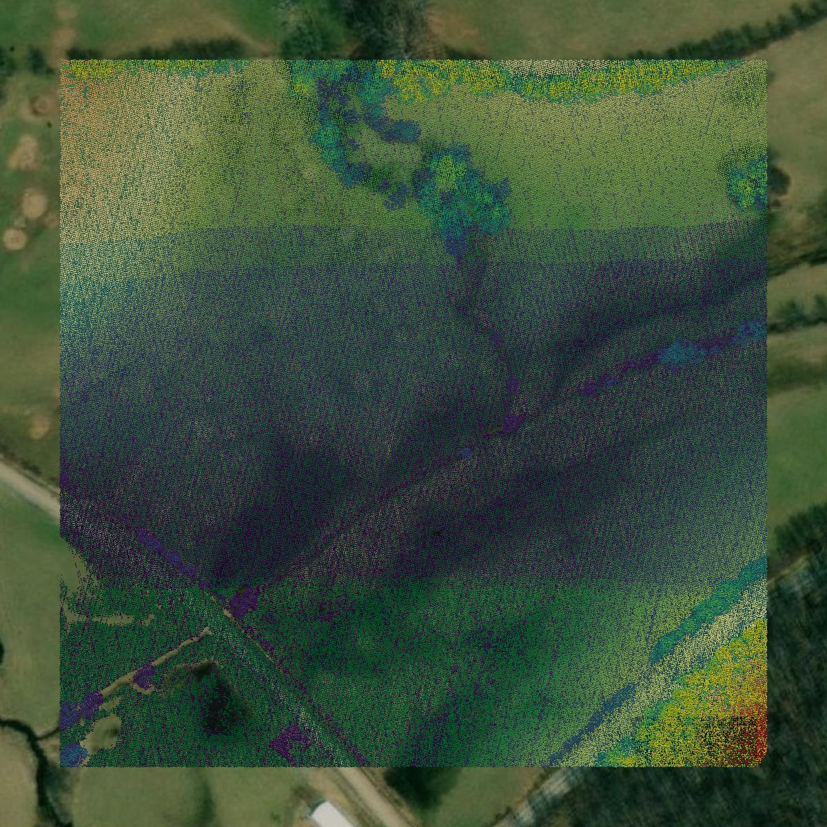 This image shows a LiDAR point cloud in Upshur County created using GIS data in Equator.