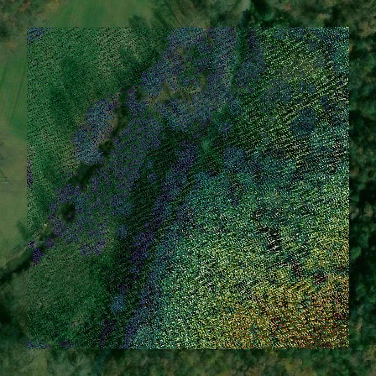This image shows a LiDAR point cloud in Wayne County created using GIS data in Equator.