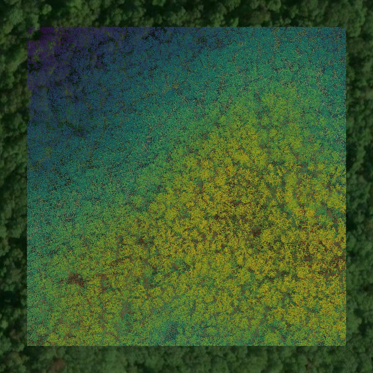 This image shows a LiDAR point cloud in Wayne County created using GIS data in Equator.