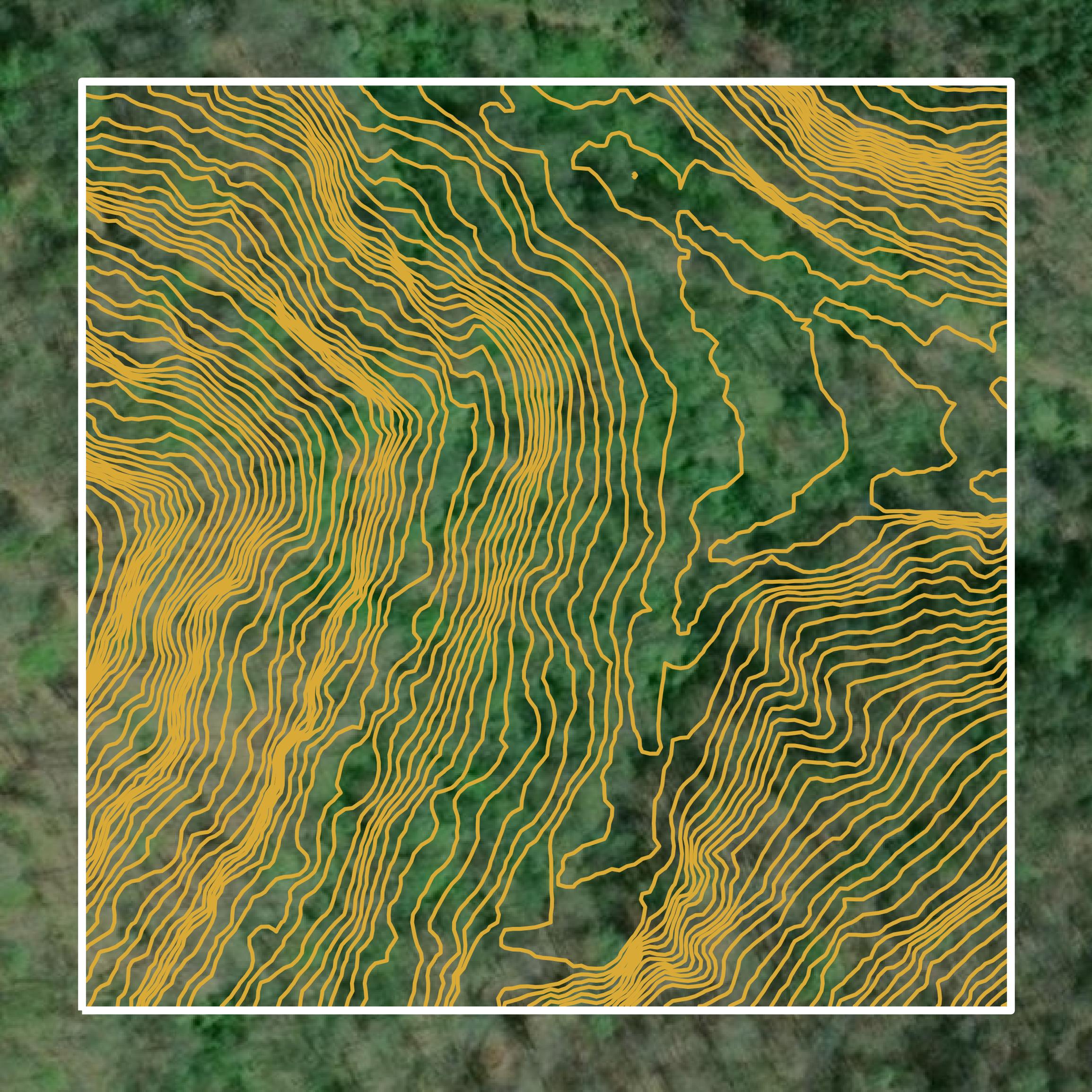 This image shows parcel and building data in Webster County created using GIS data in Equator.