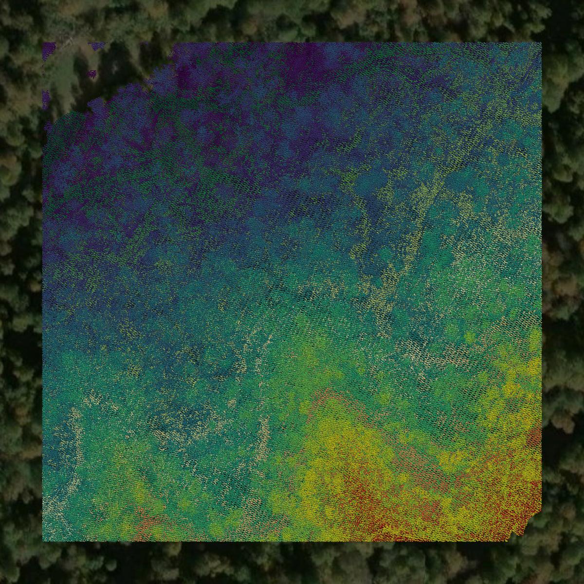 This image shows a LiDAR point cloud in Webster County created using GIS data in Equator.