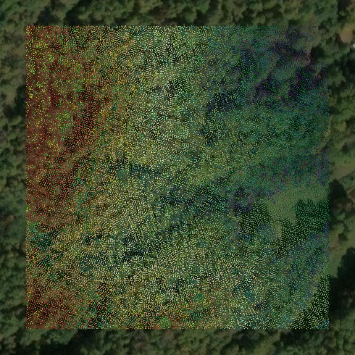 This image shows a LiDAR point cloud in Webster County created using GIS data in Equator.