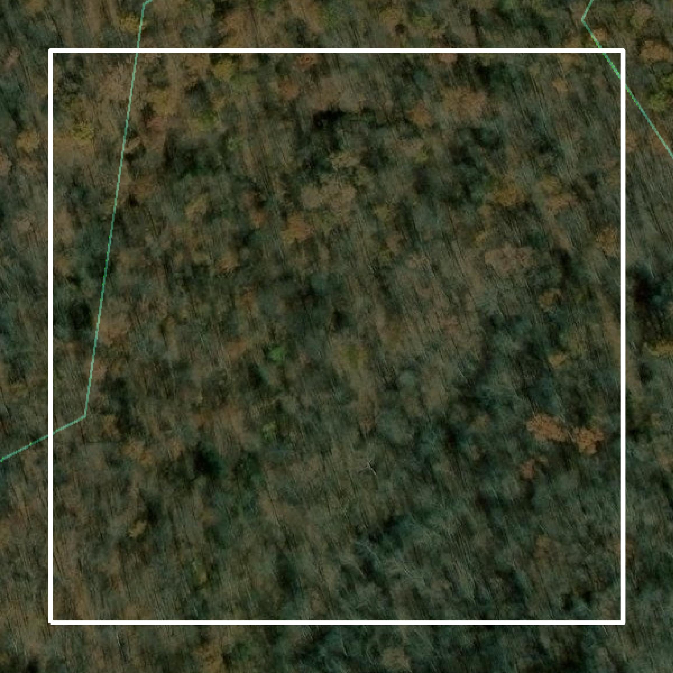 This image shows parcel and building data in Wetzel County created using GIS data in Equator.