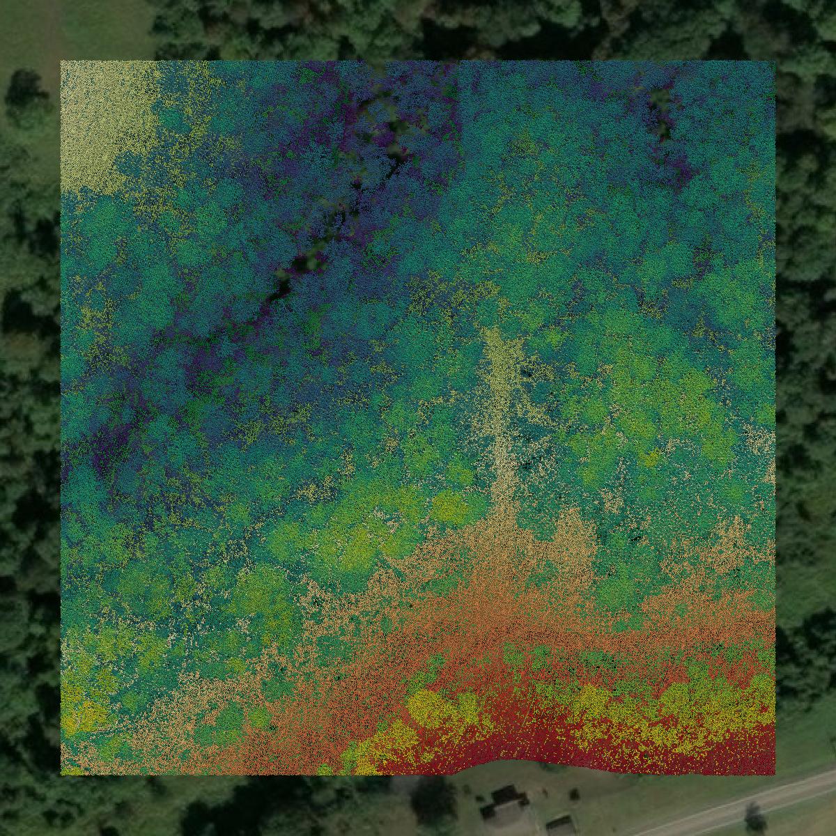 This image shows a LiDAR point cloud in Wetzel County created using GIS data in Equator.