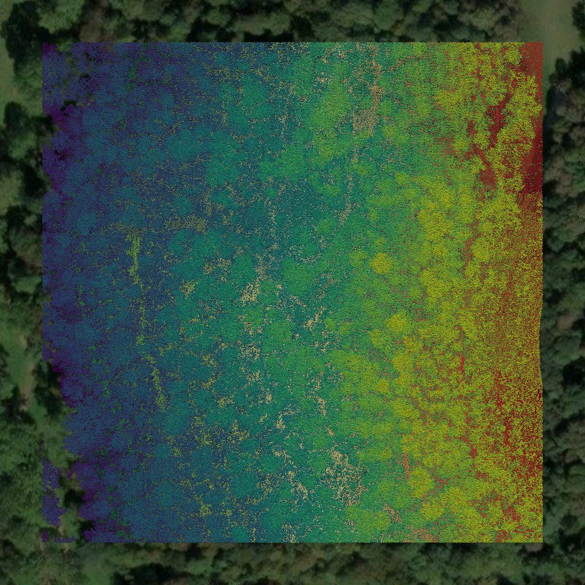 This image shows a LiDAR point cloud in Wetzel County created using GIS data in Equator.
