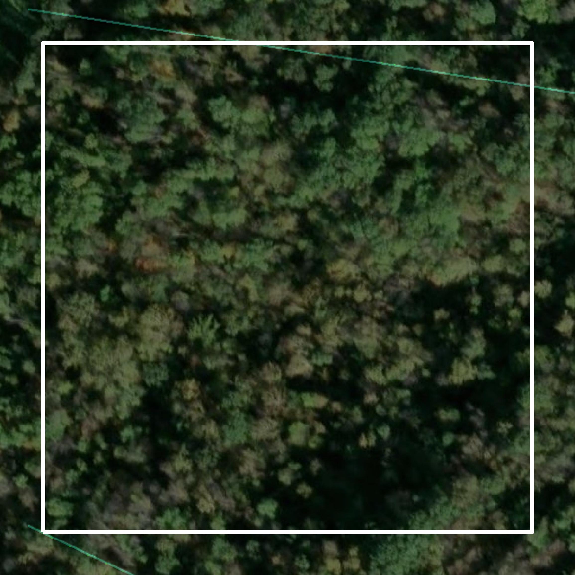 This image shows parcel and building data in Wirt County created using GIS data in Equator.