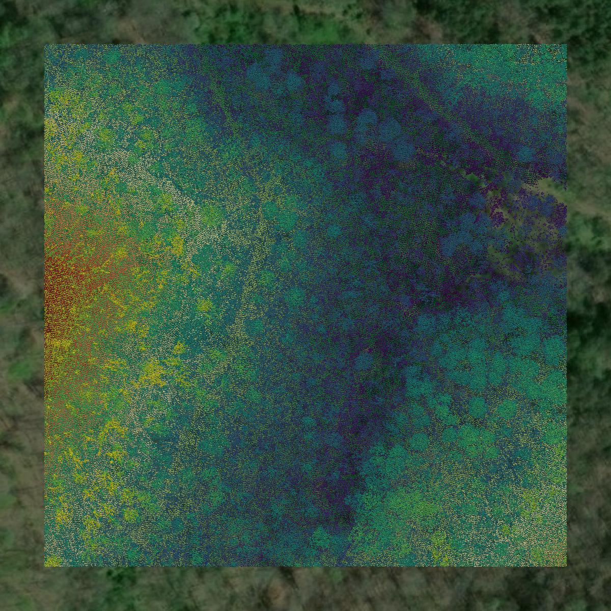 This image shows a LiDAR point cloud in Wirt County created using GIS data in Equator.