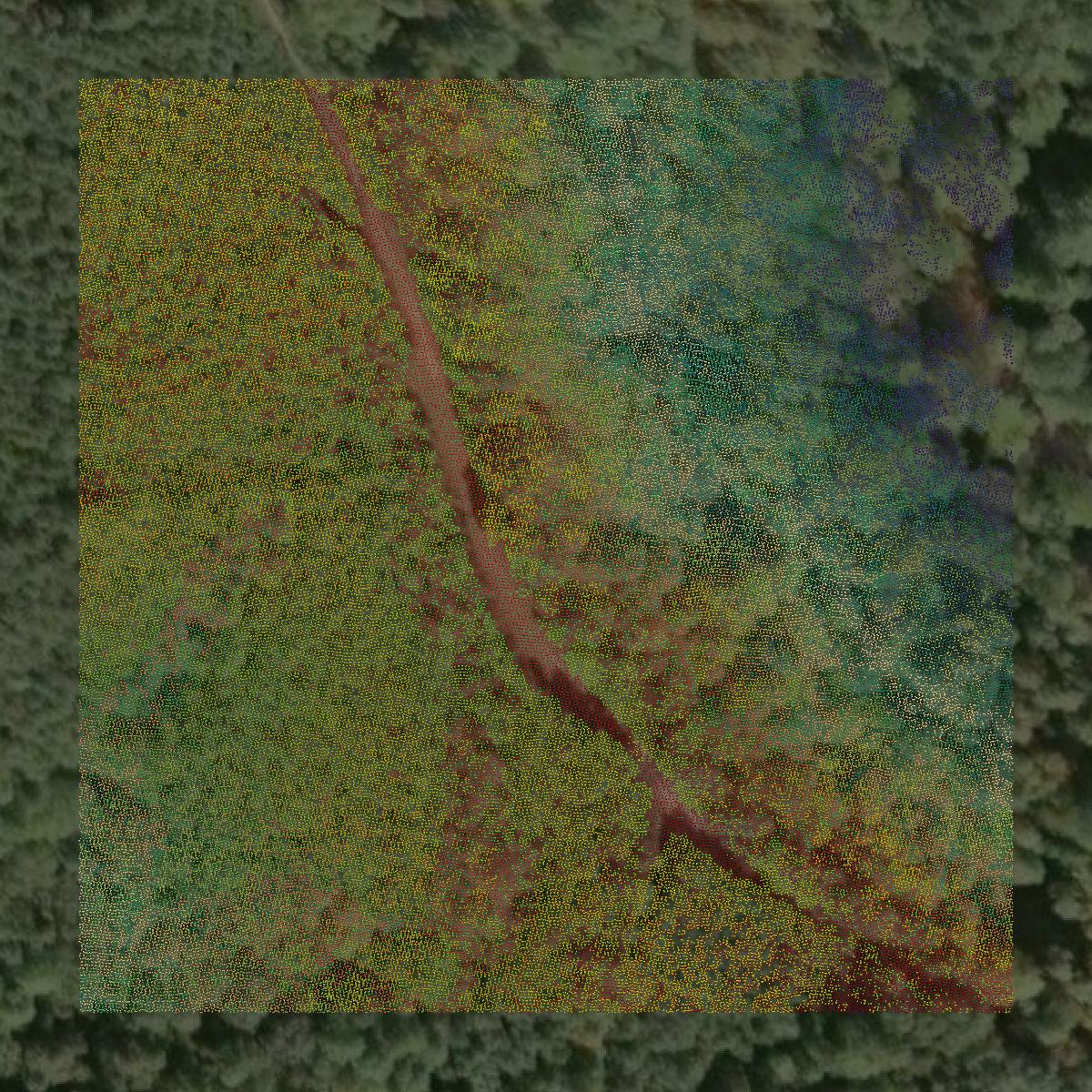 This image shows a LiDAR point cloud in Wirt County created using GIS data in Equator.