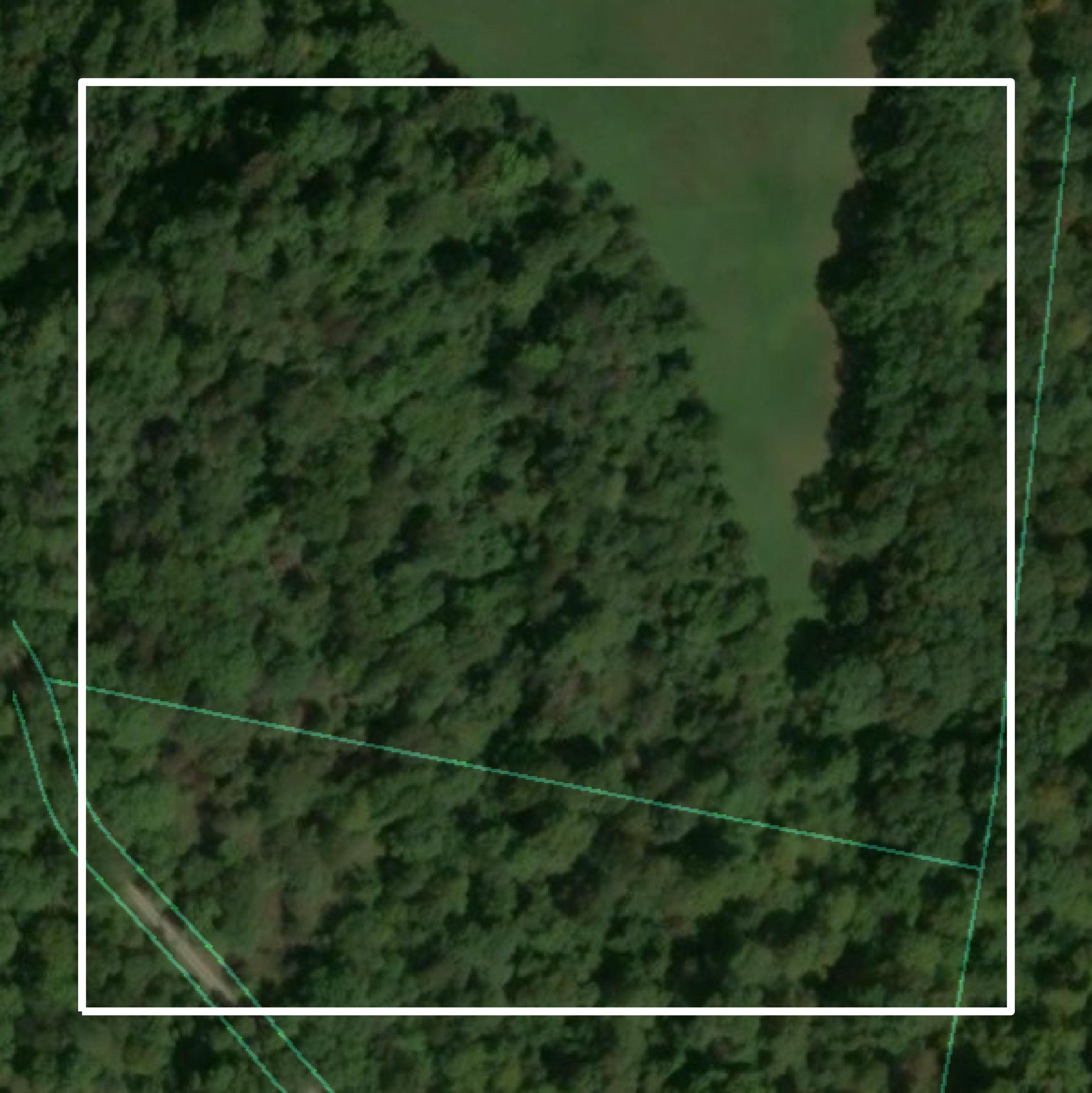 This image shows parcel and building data in Wood County created using GIS data in Equator.