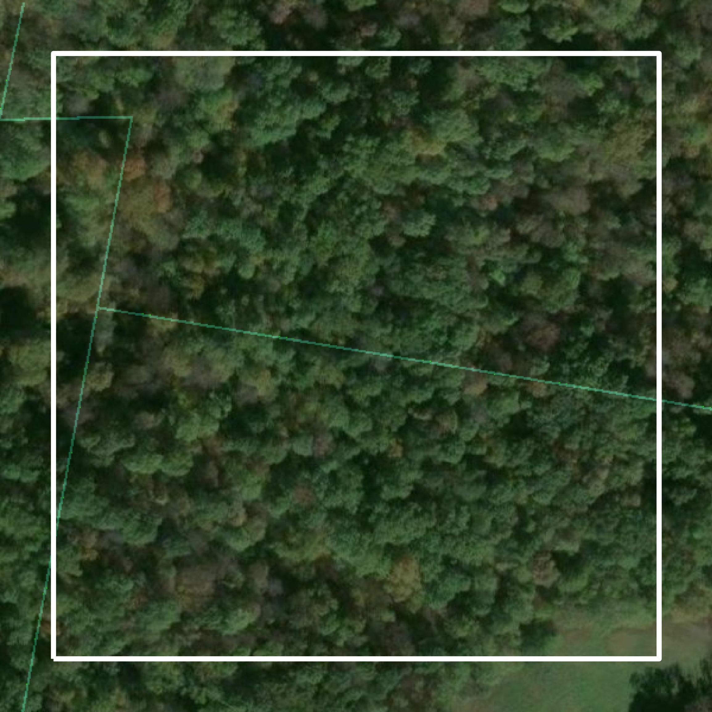 This image shows parcel and building data in Wood County created using GIS data in Equator.