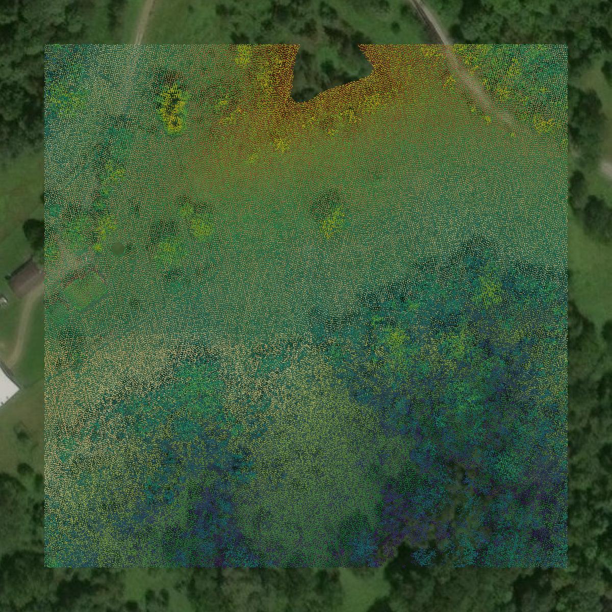 This image shows a LiDAR point cloud in Wood County created using GIS data in Equator.