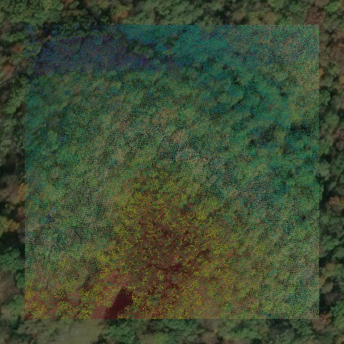 This image shows a LiDAR point cloud in Wood County created using GIS data in Equator.