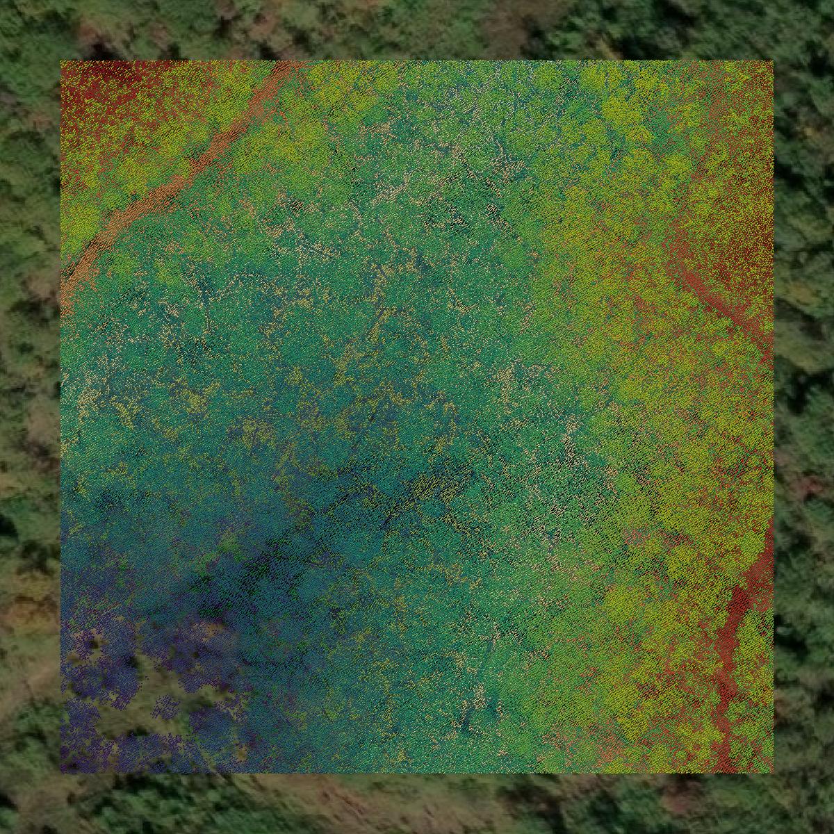 This image shows a LiDAR point cloud in Wyoming County created using GIS data in Equator.