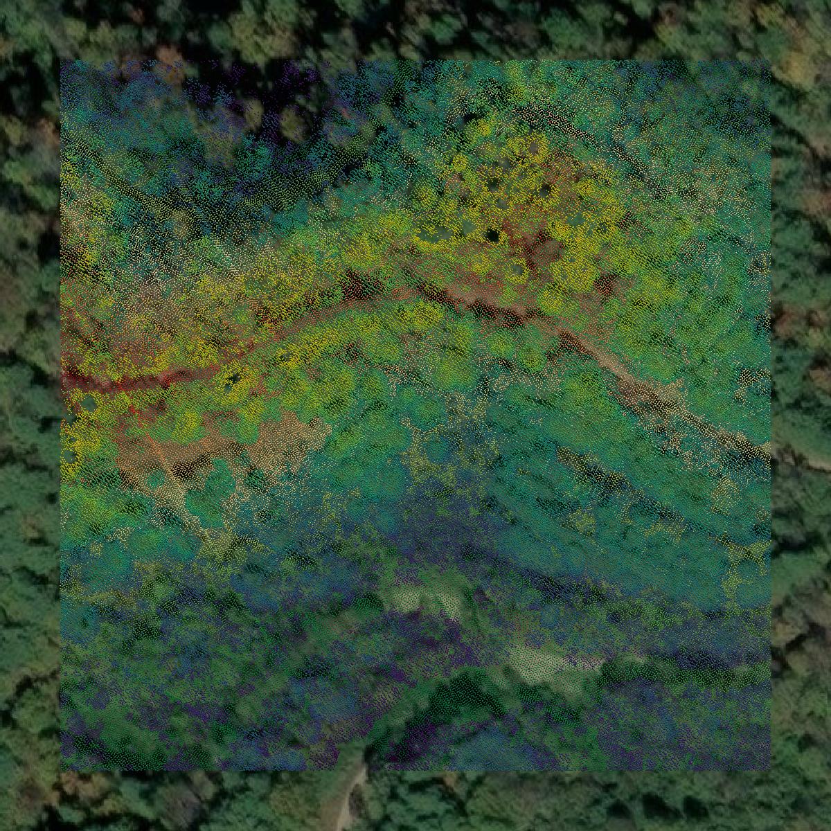This image shows a LiDAR point cloud in Wyoming County created using GIS data in Equator.