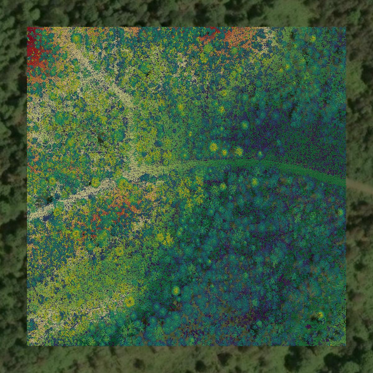This image shows a LiDAR point cloud in Ashland County created using GIS data in Equator.