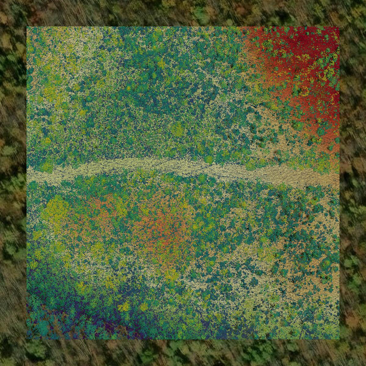 This image shows a LiDAR point cloud in Ashland County created using GIS data in Equator.