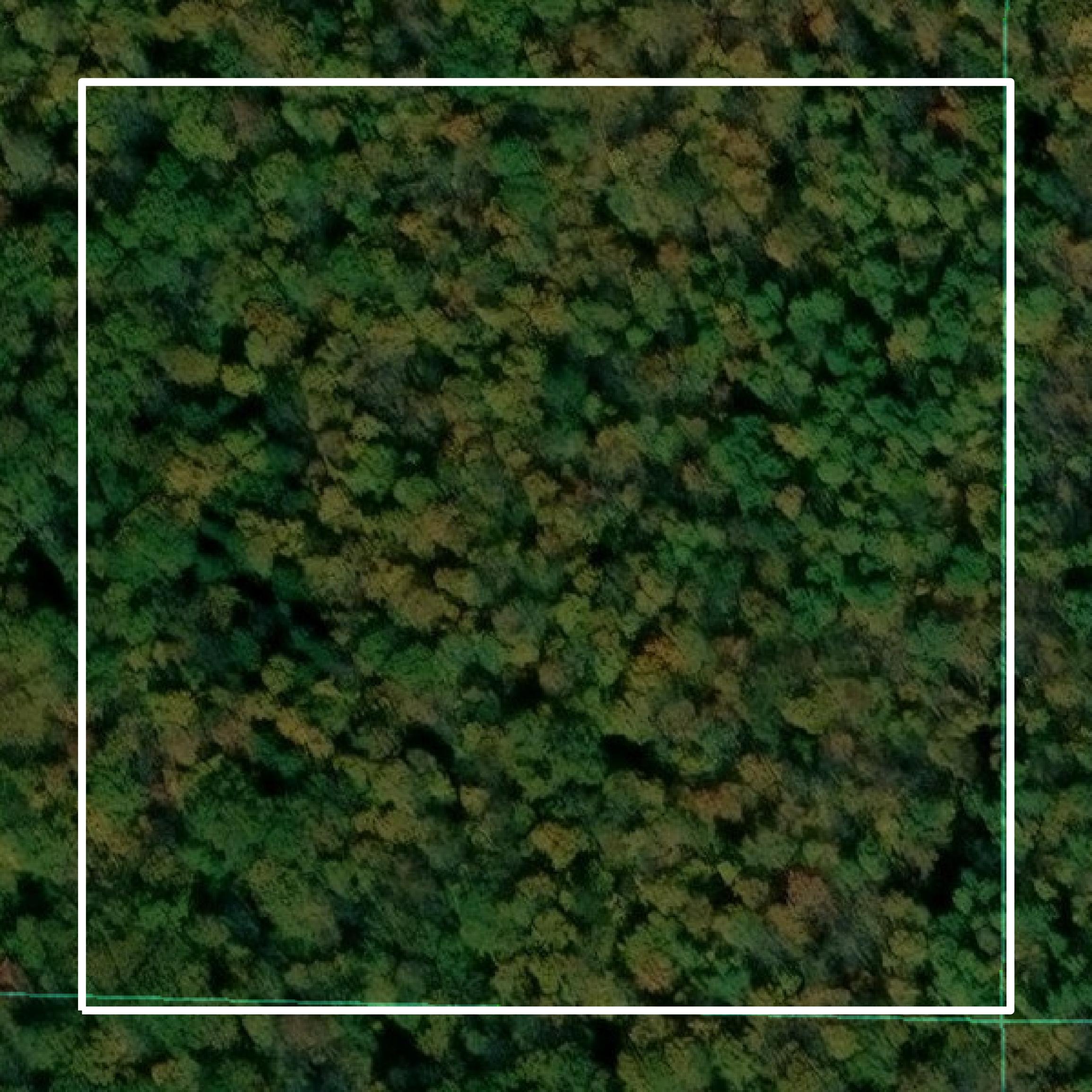 This image shows parcel and building data in Bayfield County created using GIS data in Equator.