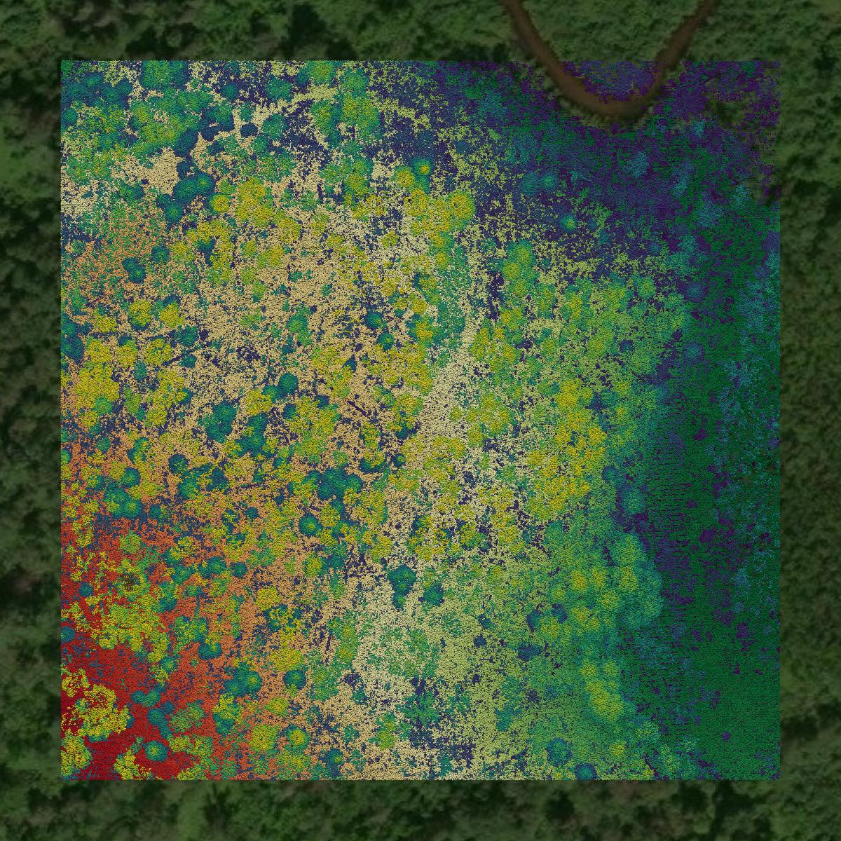 This image shows a LiDAR point cloud in Bayfield County created using GIS data in Equator.