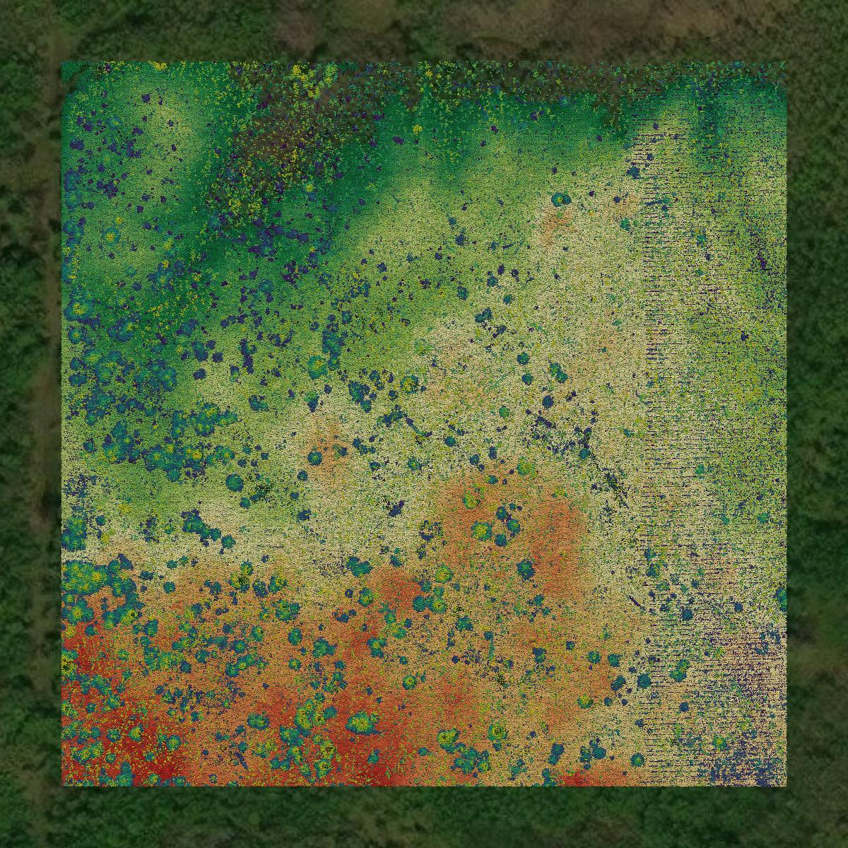 This image shows a LiDAR point cloud in Bayfield County created using GIS data in Equator.