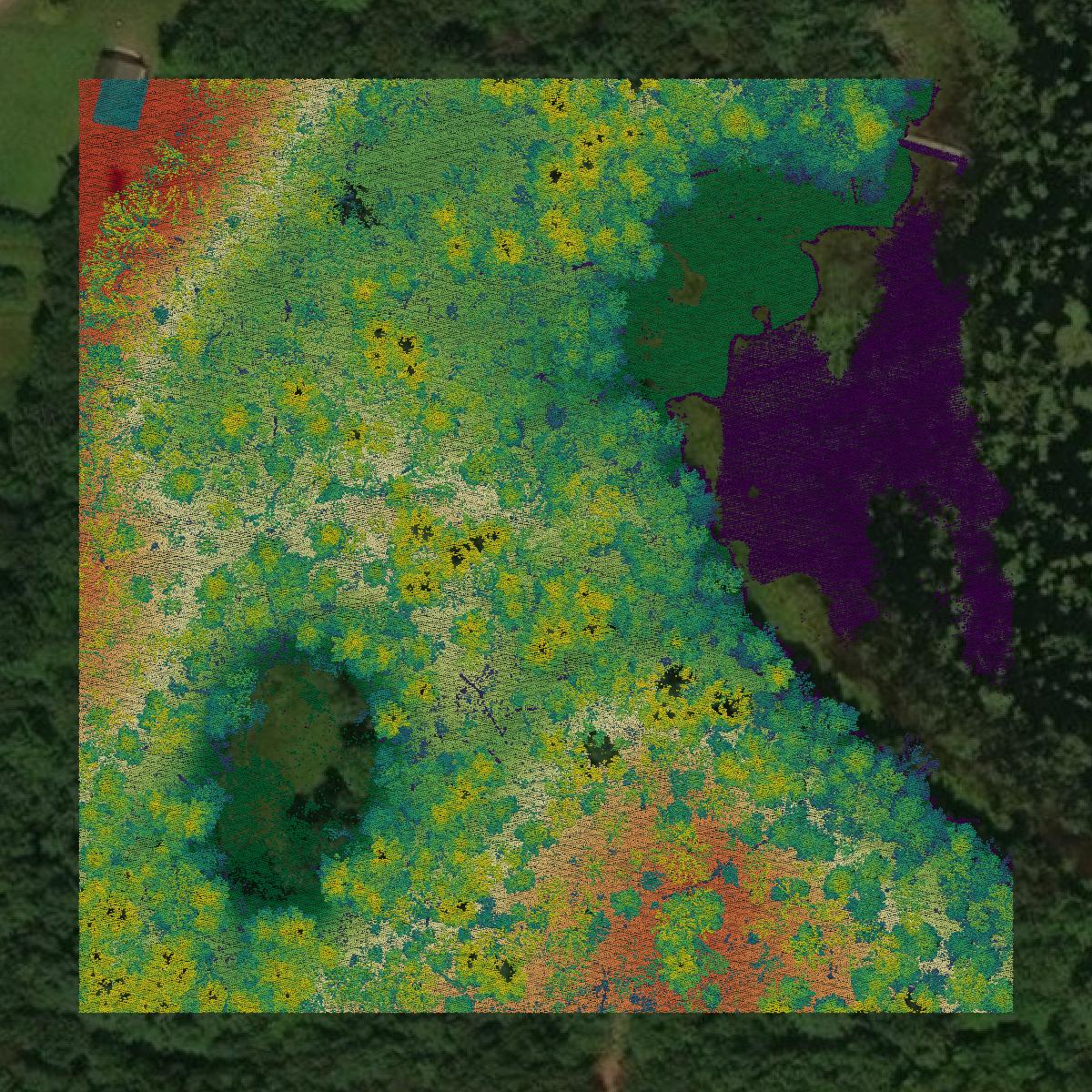This image shows a LiDAR point cloud in Burnett County created using GIS data in Equator.