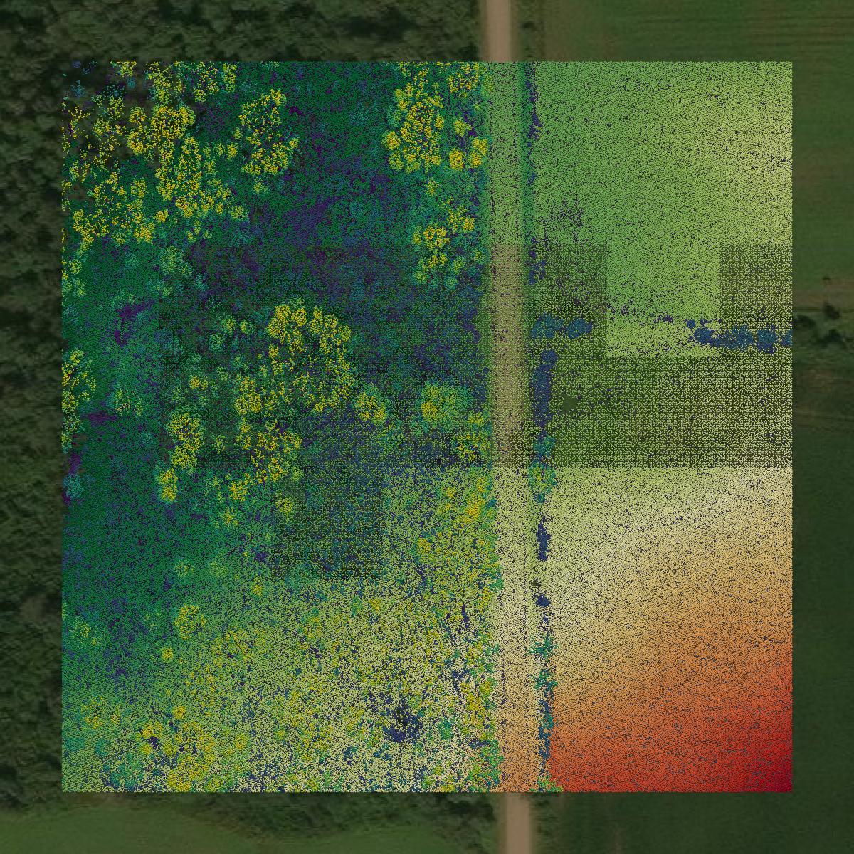 This image shows a LiDAR point cloud in Burnett County created using GIS data in Equator.