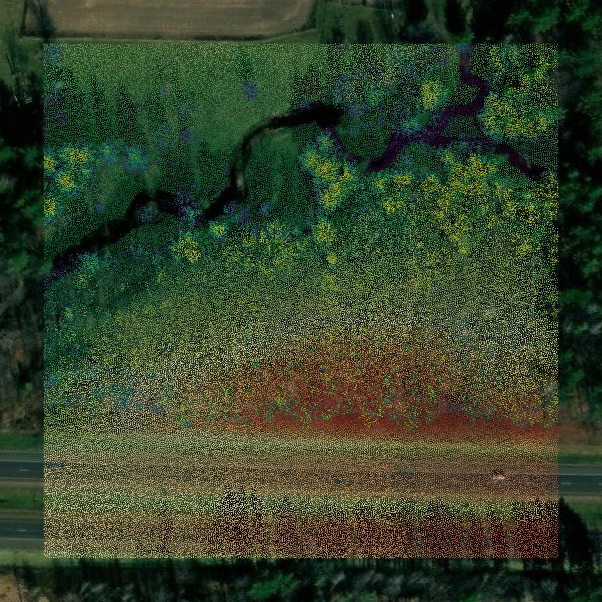 This image shows a LiDAR point cloud in Chippewa County created using GIS data in Equator.