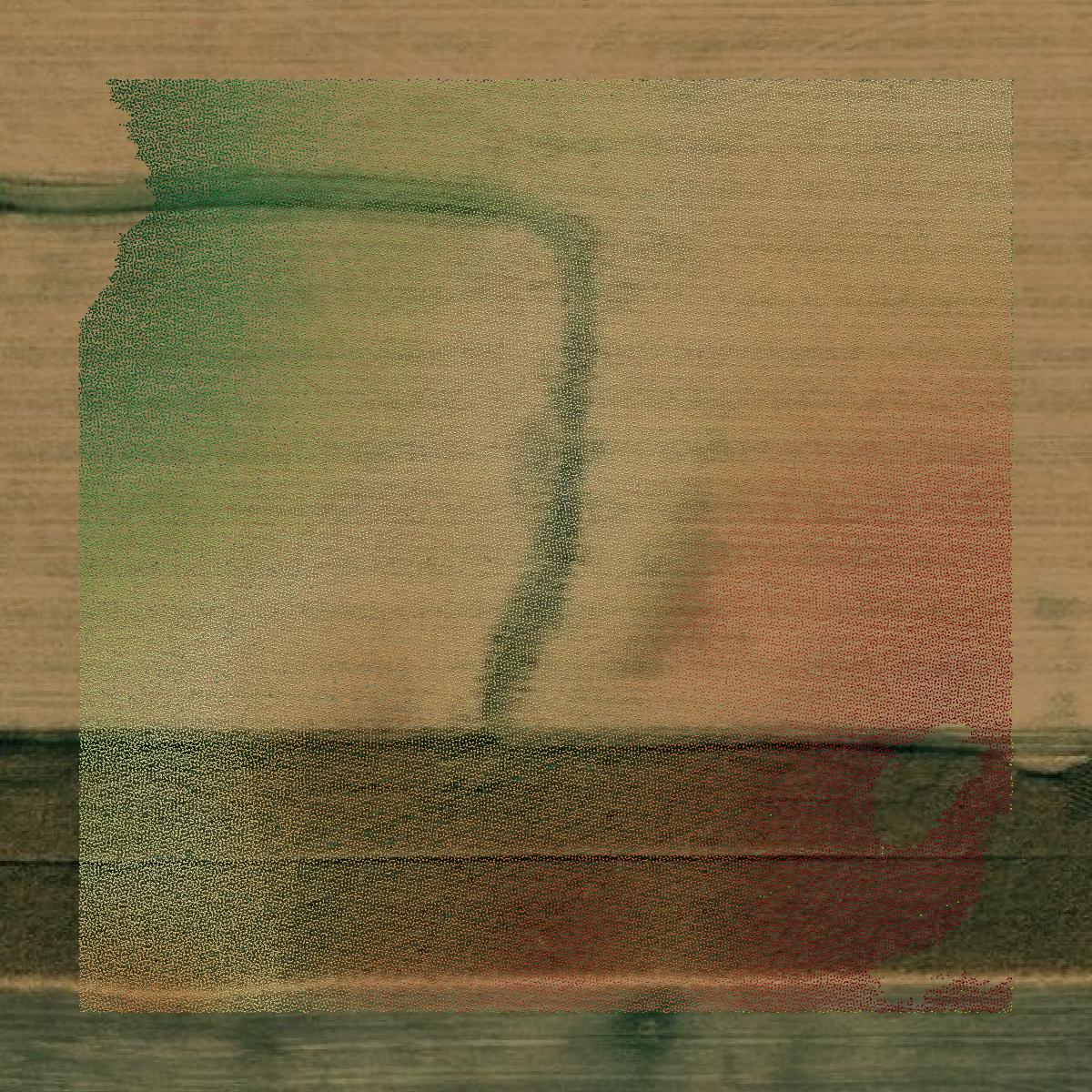 This image shows a LiDAR point cloud in Chippewa County created using GIS data in Equator.