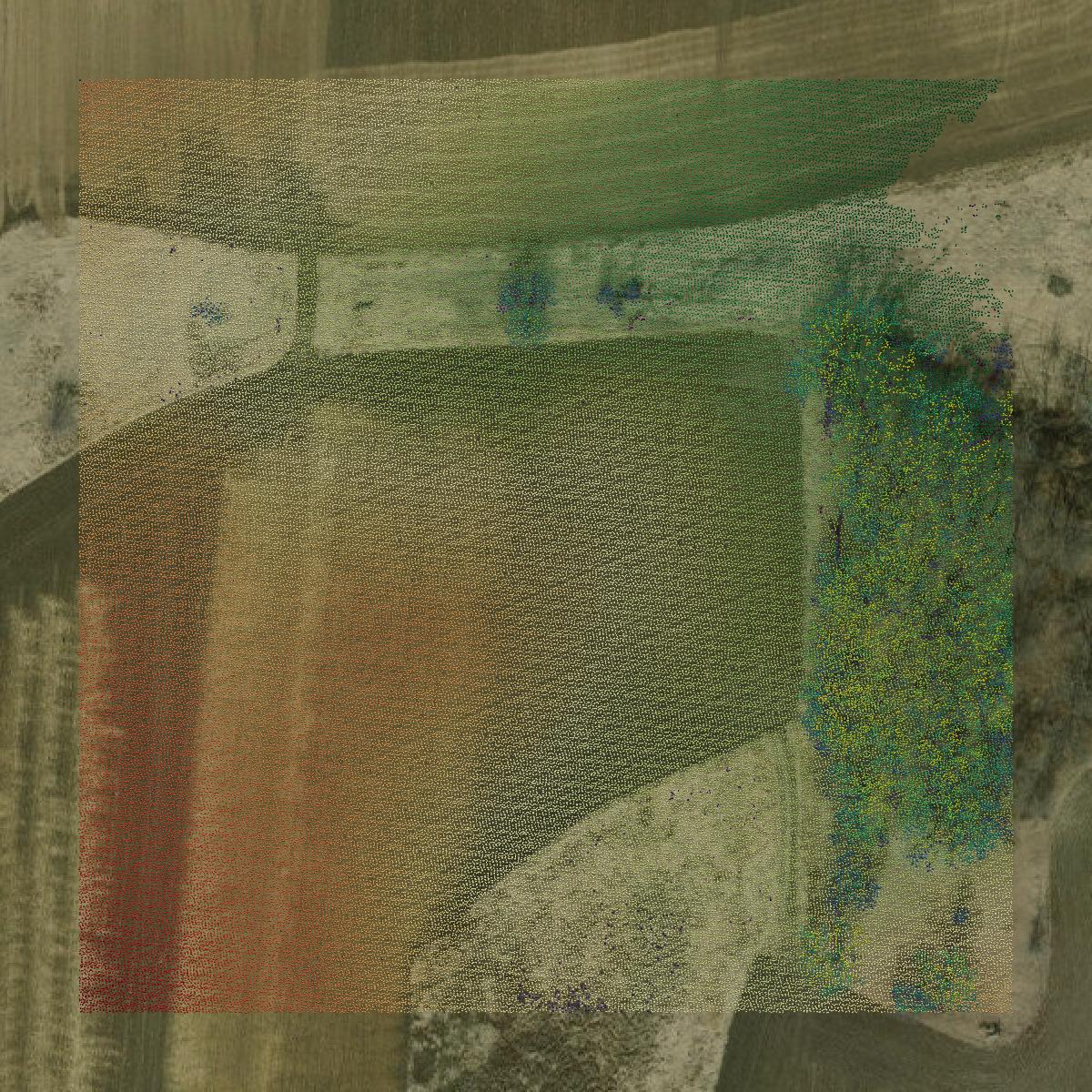 This image shows a LiDAR point cloud in Columbia County created using GIS data in Equator.