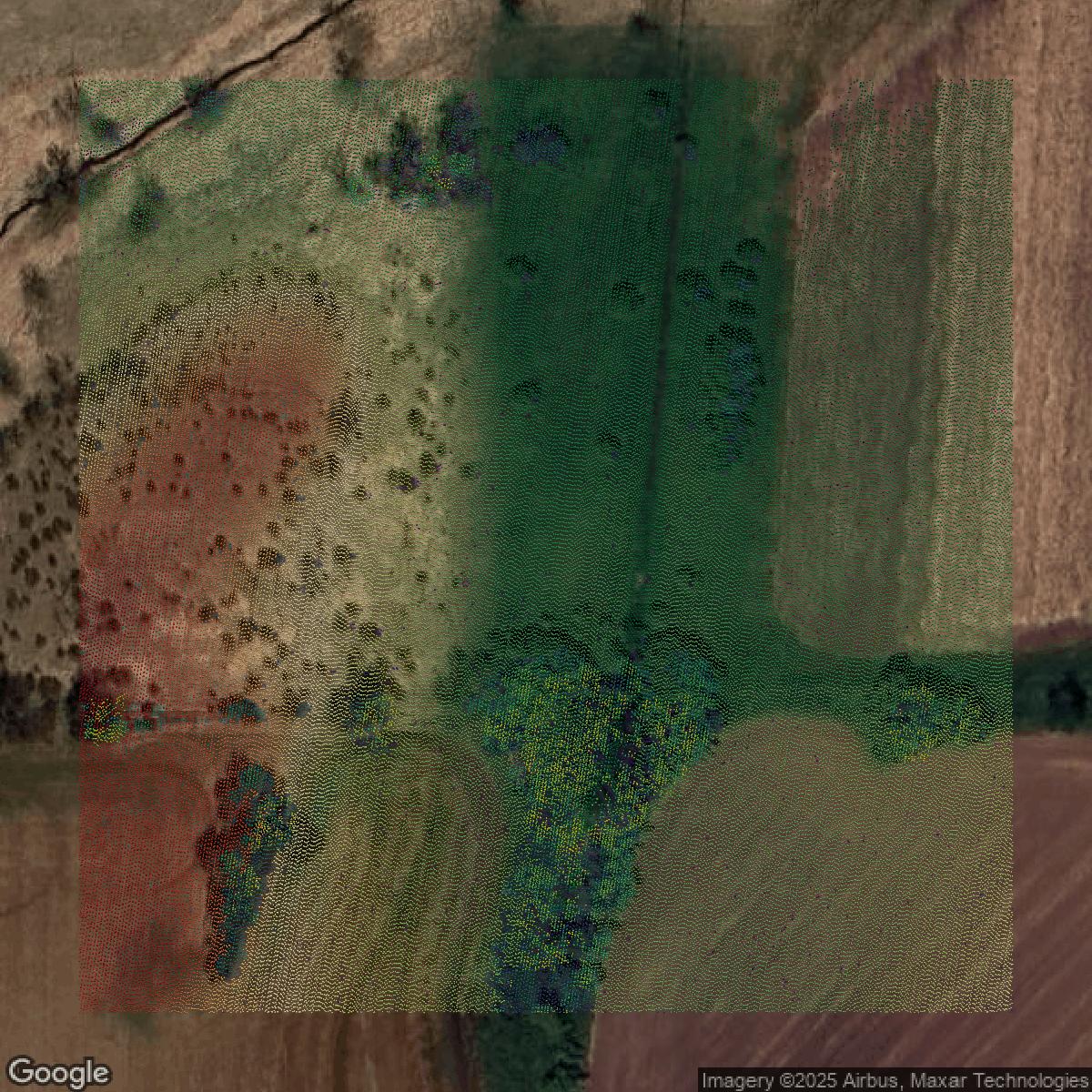This image shows a LiDAR point cloud in Dane County created using GIS data in Equator.