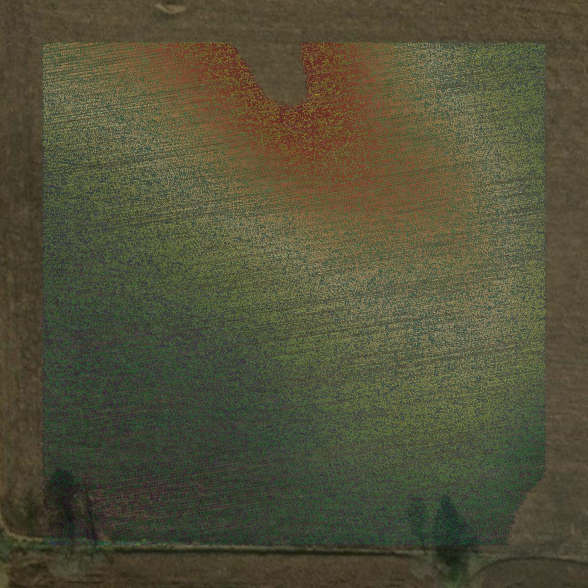 This image shows a LiDAR point cloud in Dodge County created using GIS data in Equator.