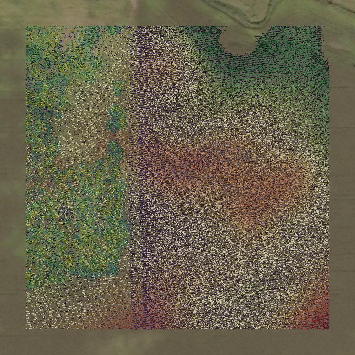 This image shows a LiDAR point cloud in Dodge County created using GIS data in Equator.