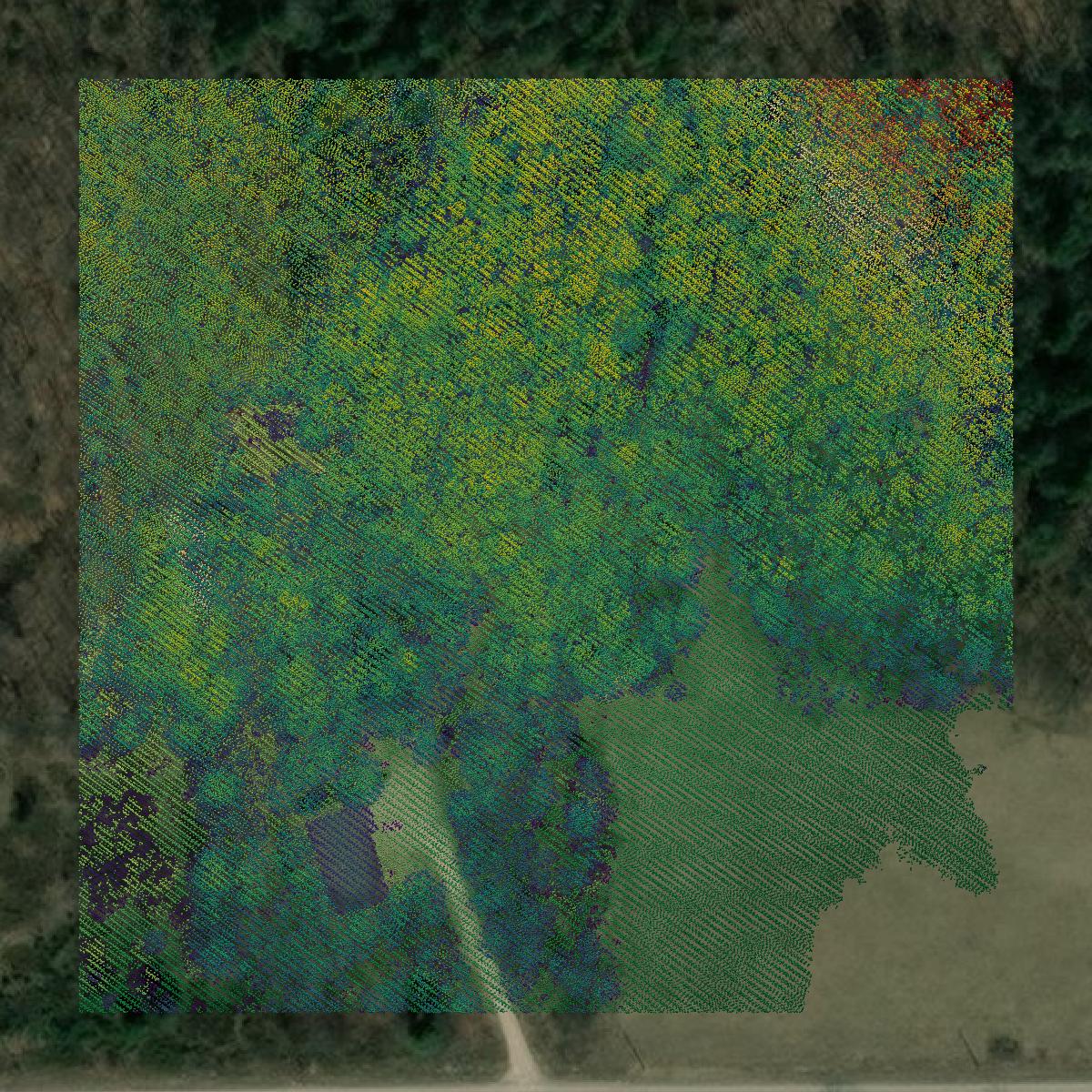 This image shows a LiDAR point cloud in Door County created using GIS data in Equator.