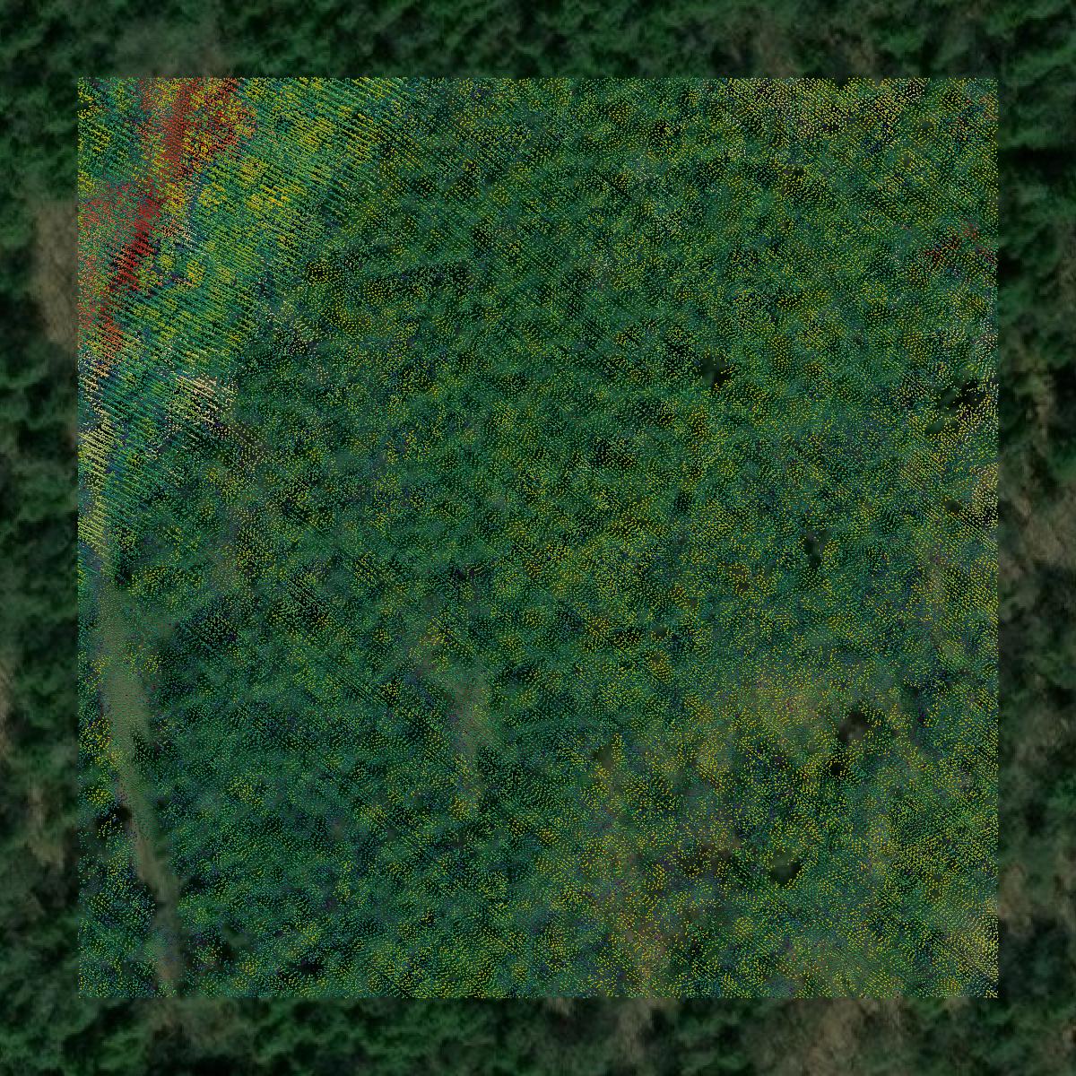 This image shows a LiDAR point cloud in Door County created using GIS data in Equator.