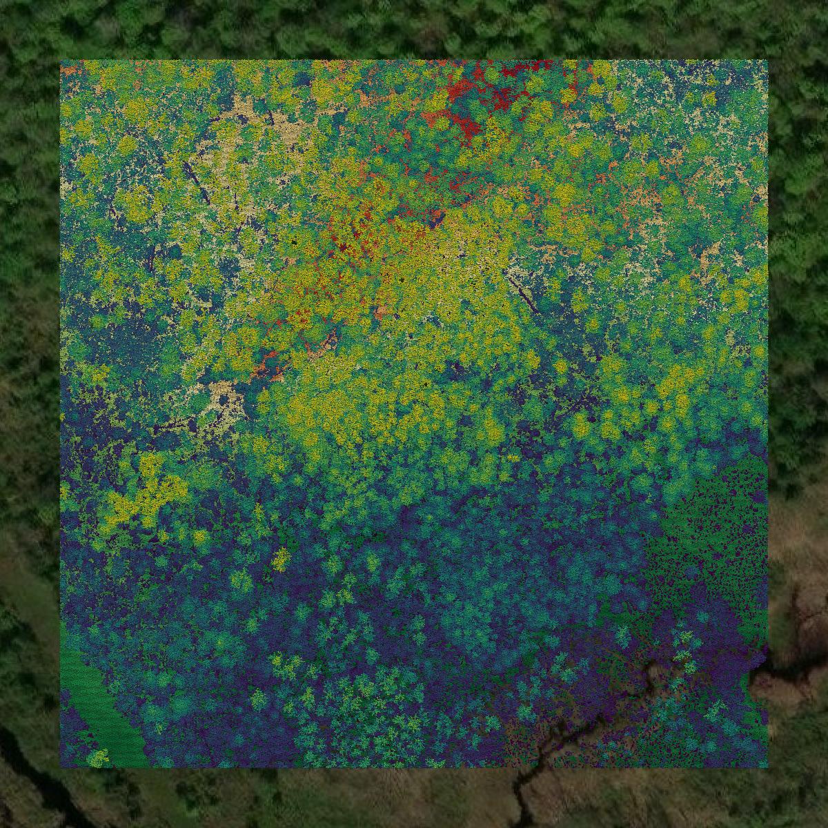 This image shows a LiDAR point cloud in Douglas County created using GIS data in Equator.