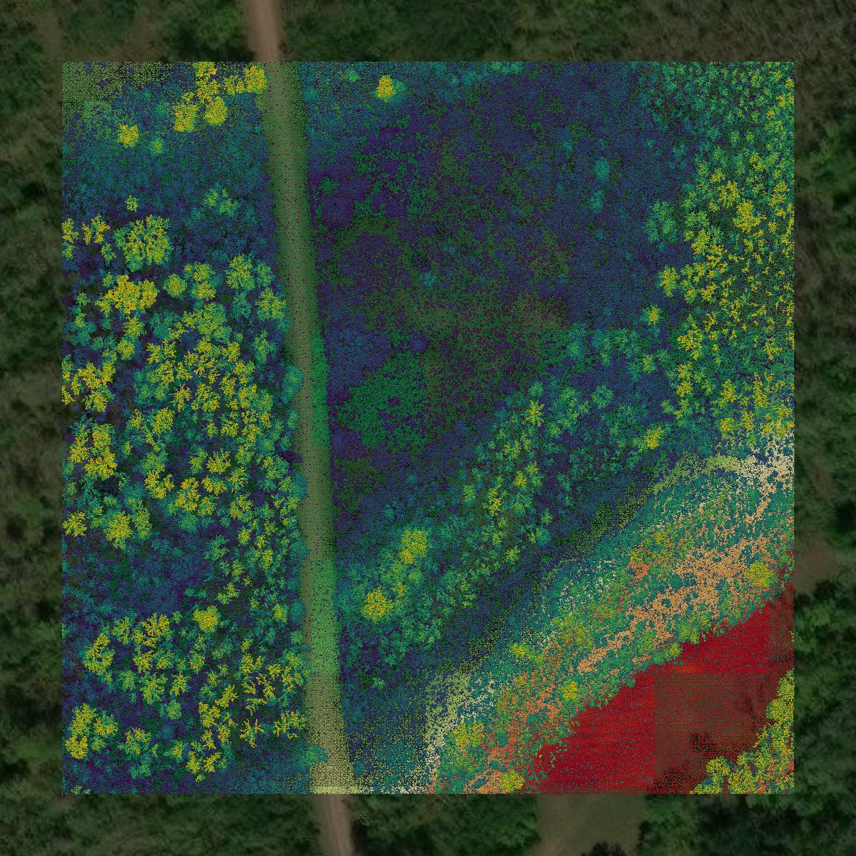 This image shows a LiDAR point cloud in Douglas County created using GIS data in Equator.