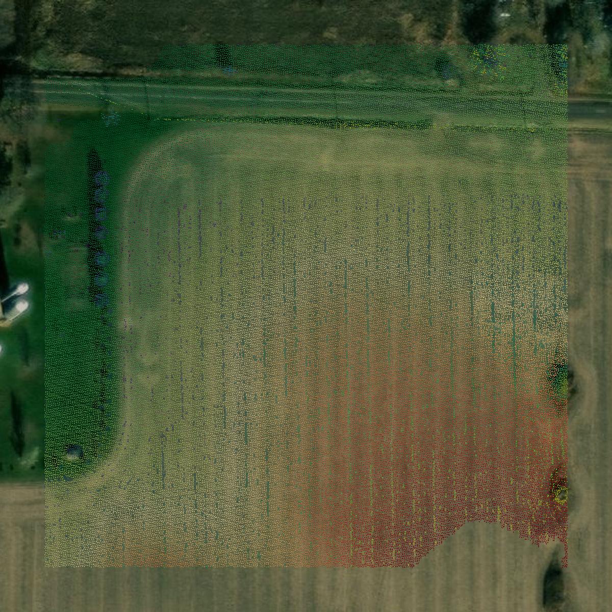 This image shows a LiDAR point cloud in Eau Claire County created using GIS data in Equator.