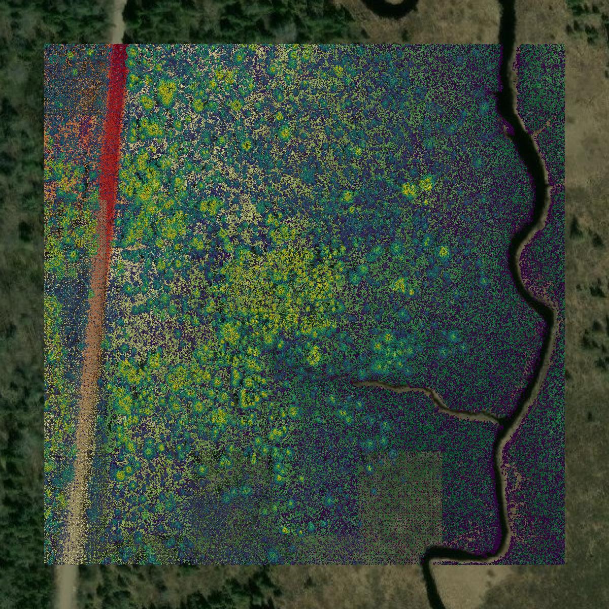 This image shows a LiDAR point cloud in Florence County created using GIS data in Equator.