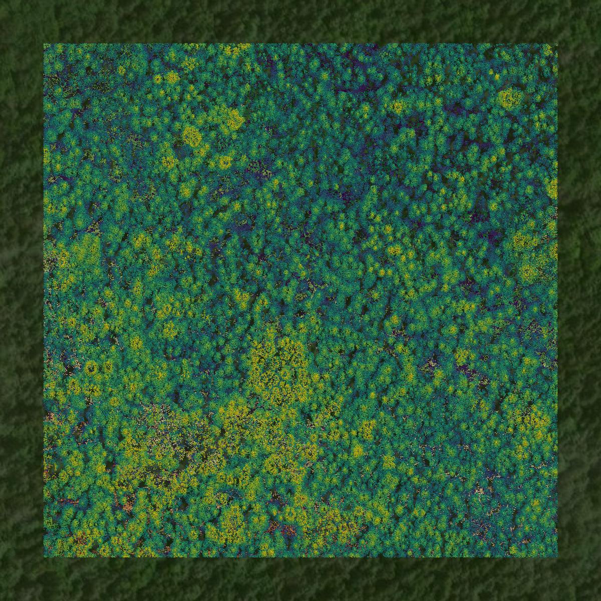 This image shows a LiDAR point cloud in Florence County created using GIS data in Equator.