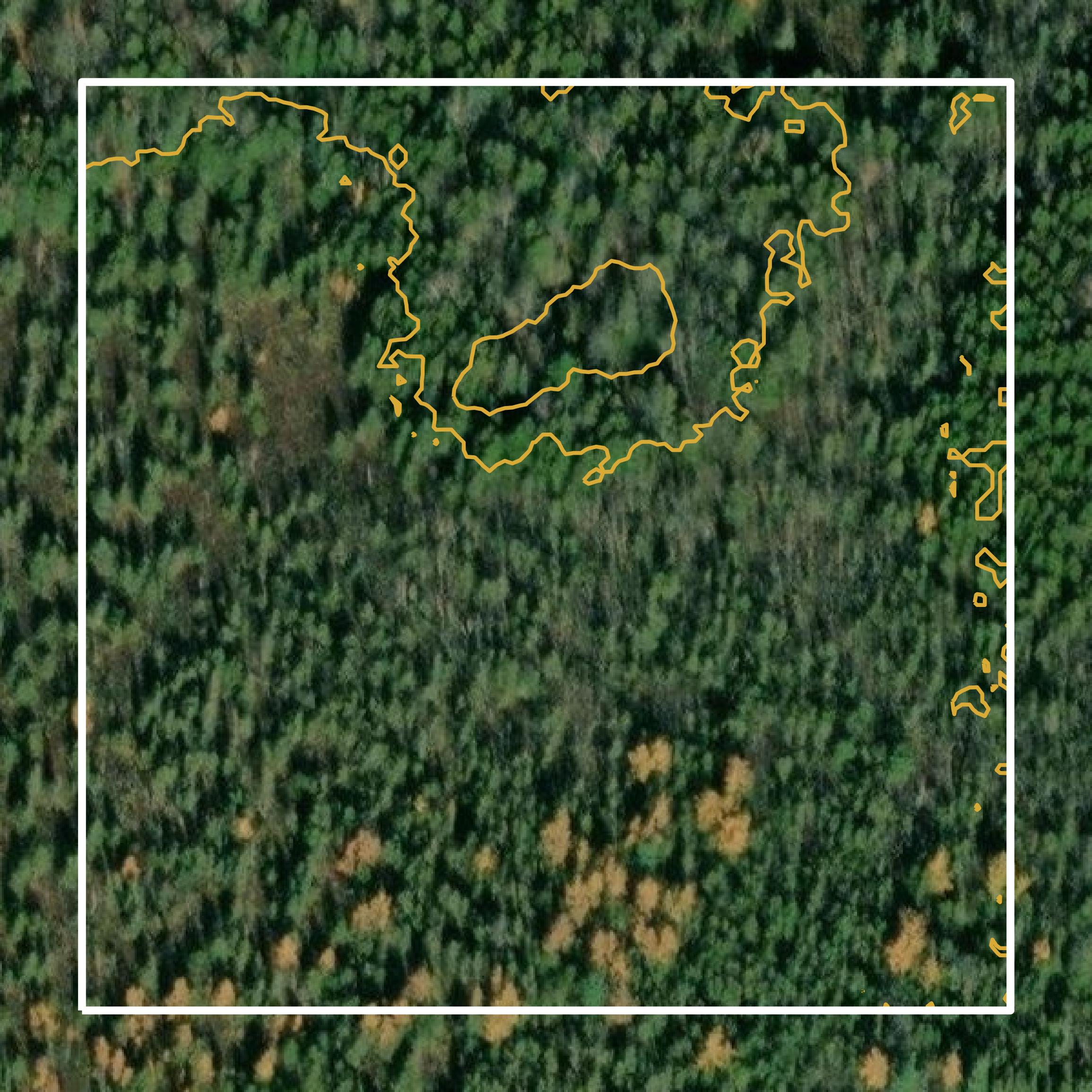 This image shows a contour map in Forest County created using GIS data in Equator.