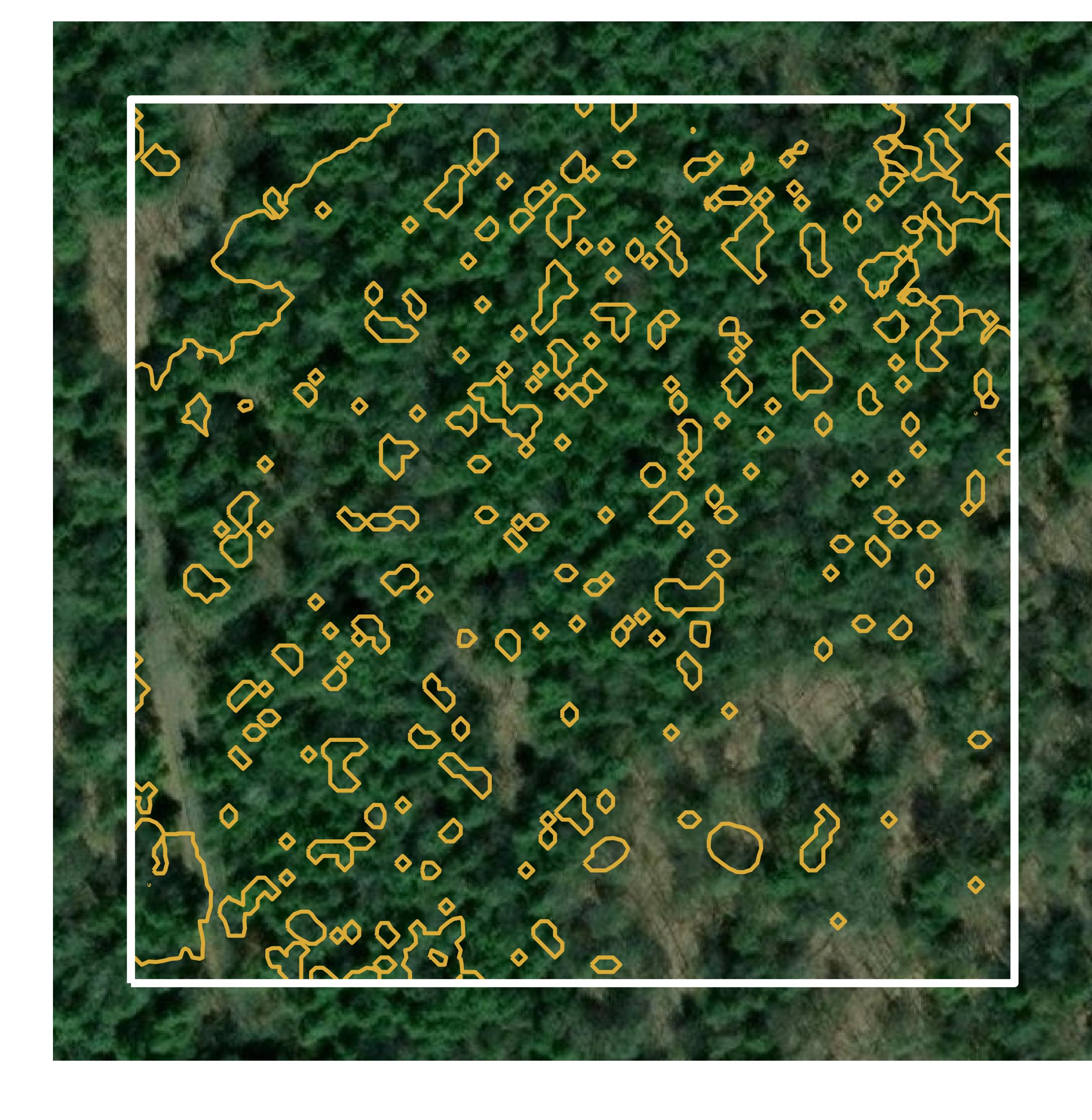 This image shows parcel and building data in Forest County created using GIS data in Equator.