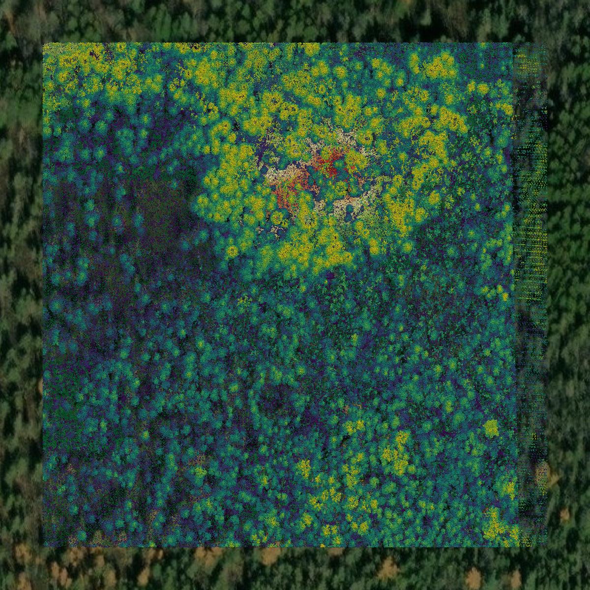 This image shows a LiDAR point cloud in Forest County created using GIS data in Equator.
