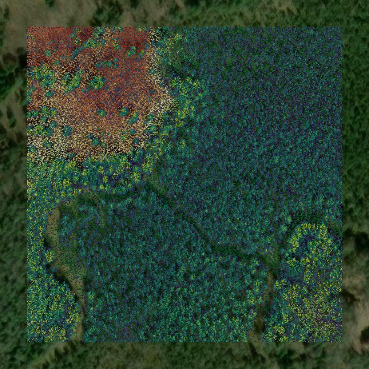 This image shows a LiDAR point cloud in Iron County created using GIS data in Equator.