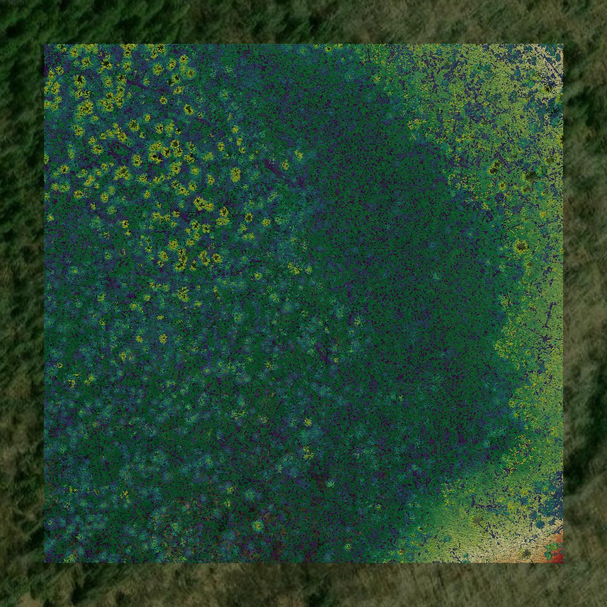 This image shows a LiDAR point cloud in Iron County created using GIS data in Equator.