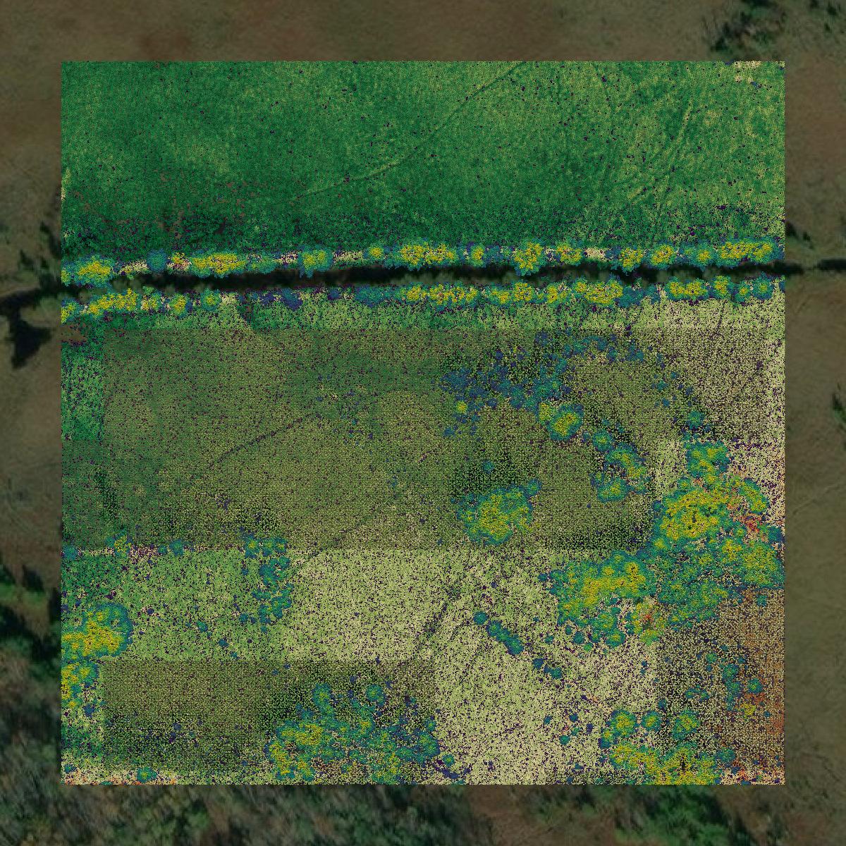 This image shows a LiDAR point cloud in Jackson County created using GIS data in Equator.