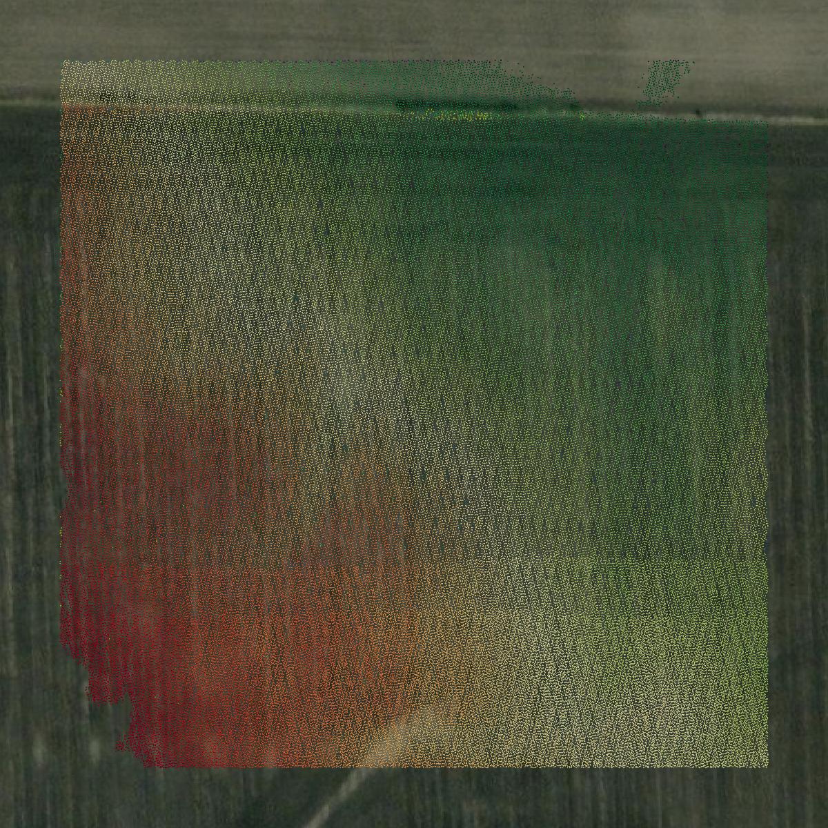 This image shows a LiDAR point cloud in Jefferson County created using GIS data in Equator.