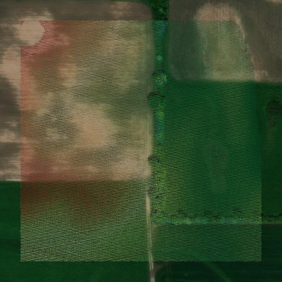 This image shows a LiDAR point cloud in Kewaunee County created using GIS data in Equator.