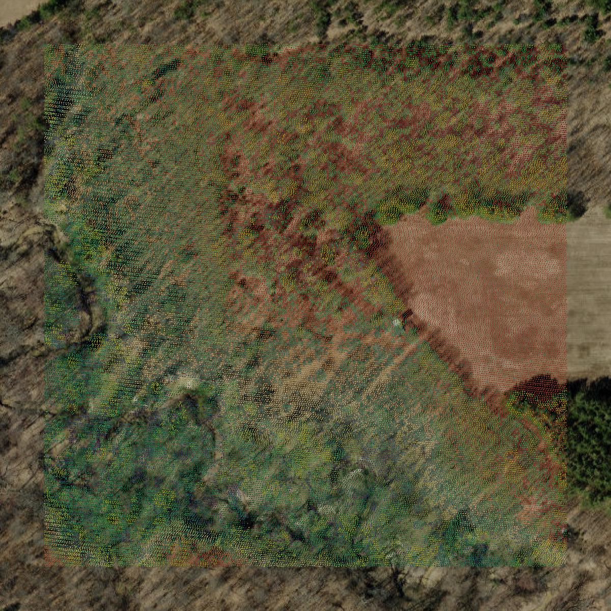 This image shows a LiDAR point cloud in La Crosse County created using GIS data in Equator.