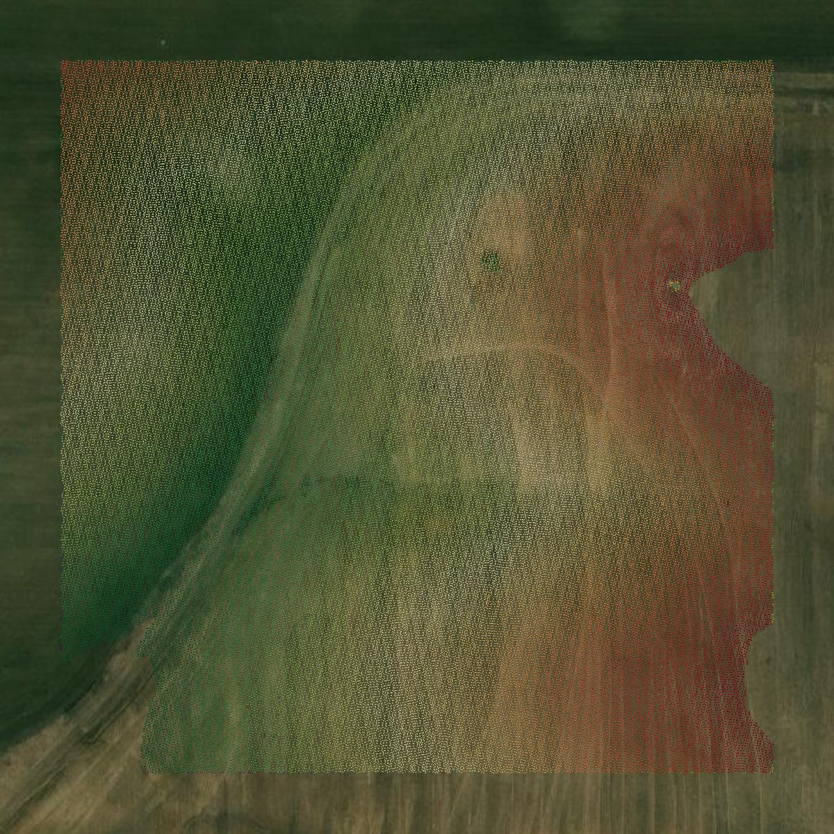 This image shows a LiDAR point cloud in Lafayette County created using GIS data in Equator.