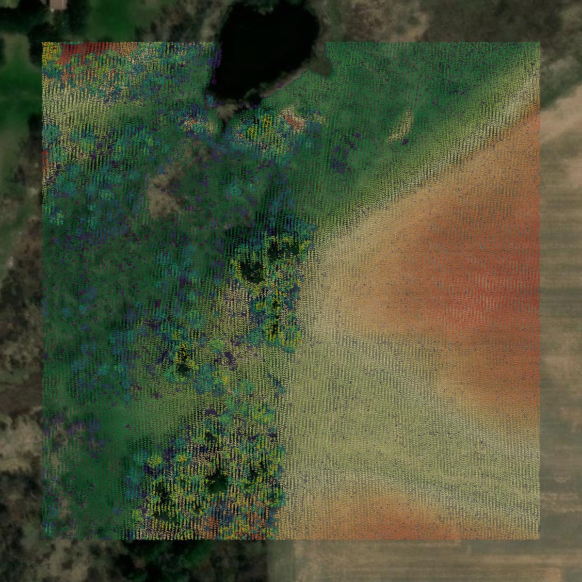 This image shows a LiDAR point cloud in Langlade County created using GIS data in Equator.